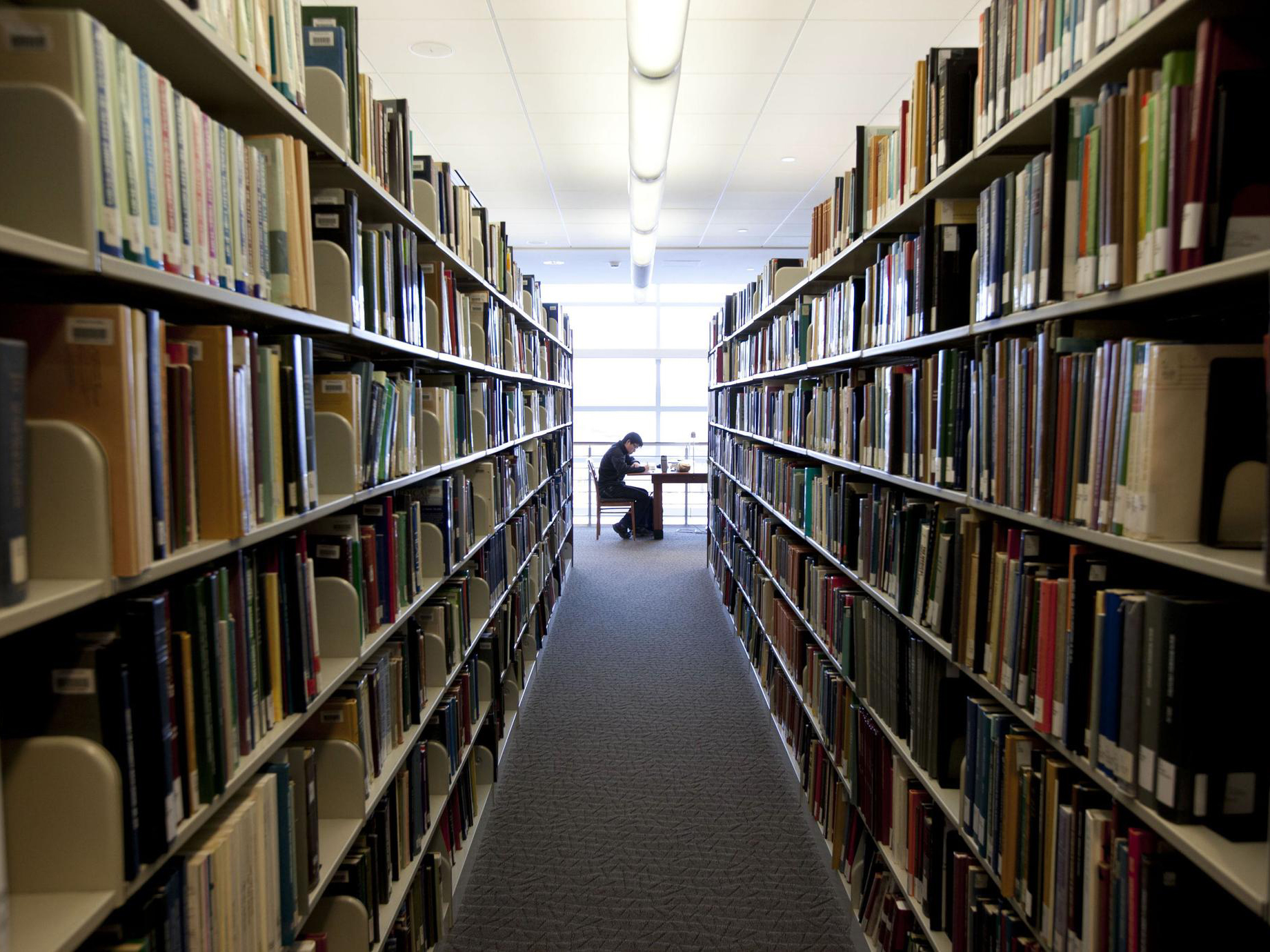 A symmetrical shot down a long, carpeted aisle between tall library bookshelves filled with books, leading toward a large window where a person sits working at a desk in the distance.
